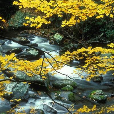 华体会登录app下载